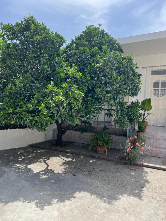 Maison d'hôtes For Rent Habipi Vlorë